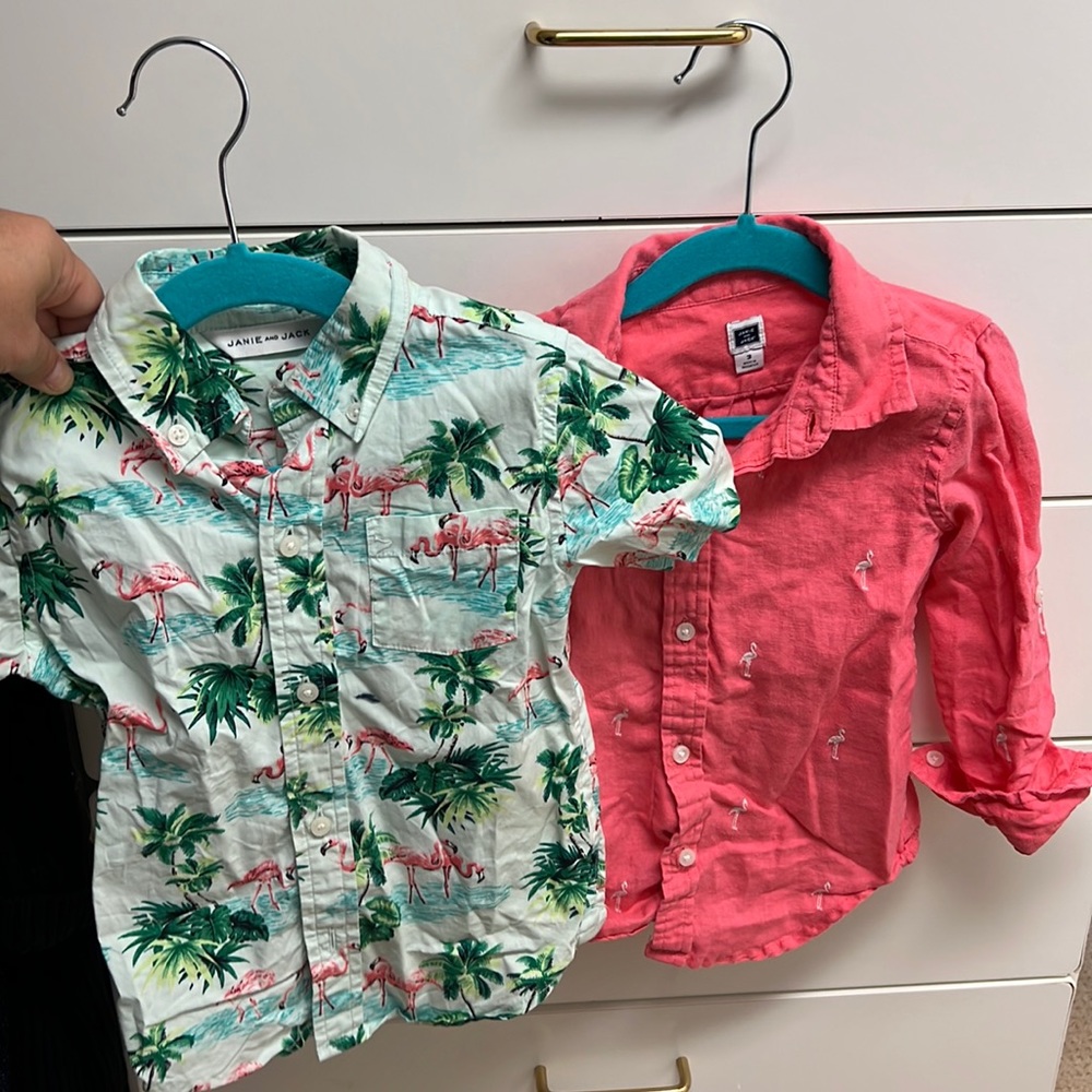 Janie and Jack flamingo boys shirts